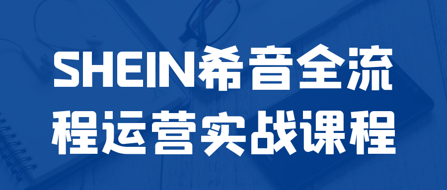 SHEIN希音全流程运营实战课程-趣奇资源网-第5张图片